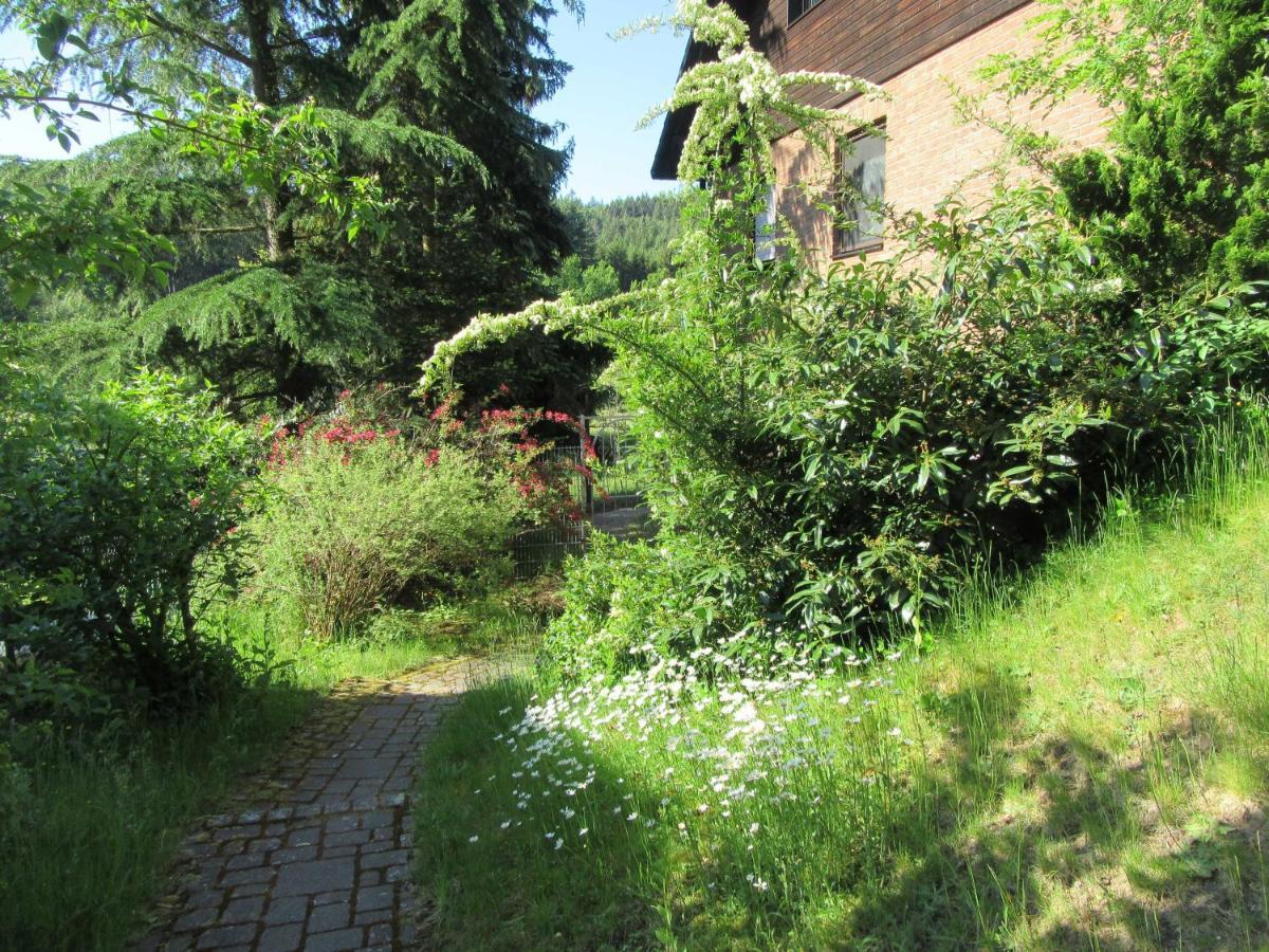 Ferienwohnung Hammergrund Mossautal Extérieur photo