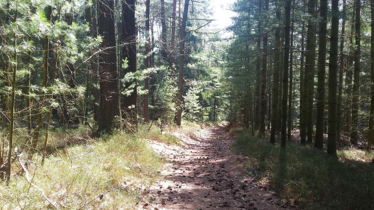 Ferienwohnung Hammergrund Mossautal Extérieur photo